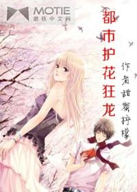 都市护花狂龙杨轩