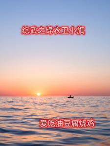 主角是锦衣卫小旗巡城的