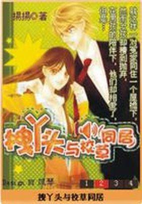 拽丫头与校草同居免费阅读全文百度